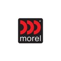 Morel