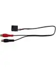 Connect C2703-RCA 