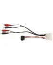 Connect C396400-AMPL 